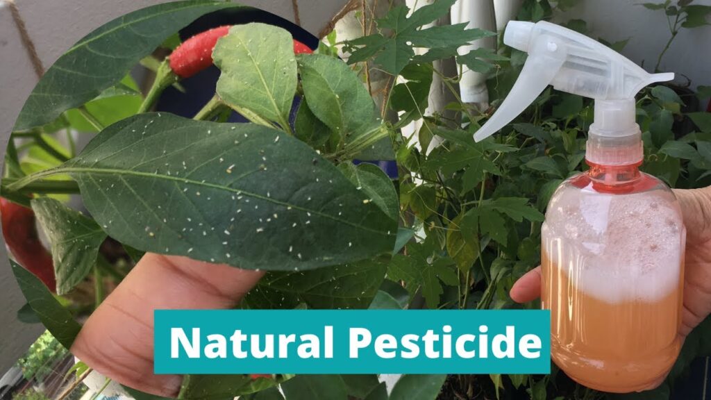 Natural Alternatives to Synthetic Pesticides and Fungicides