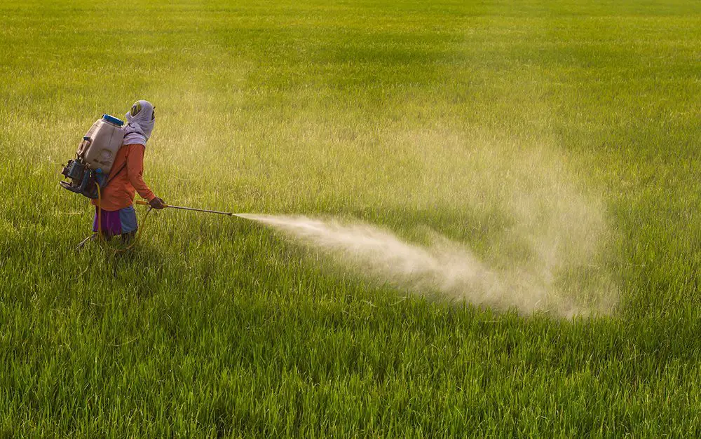 Myths & Facts About Pesticides | Pesticide Action Network (PAN)
