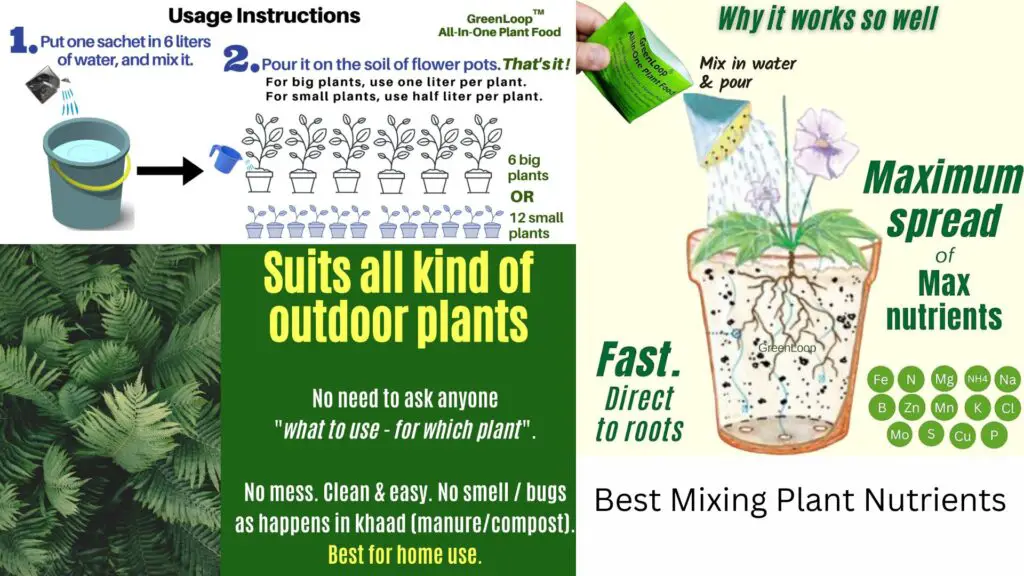 Best Mixing Plant Nutrients