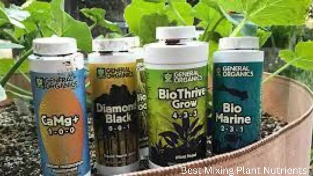 Best Mixing Plant Nutrients (2)