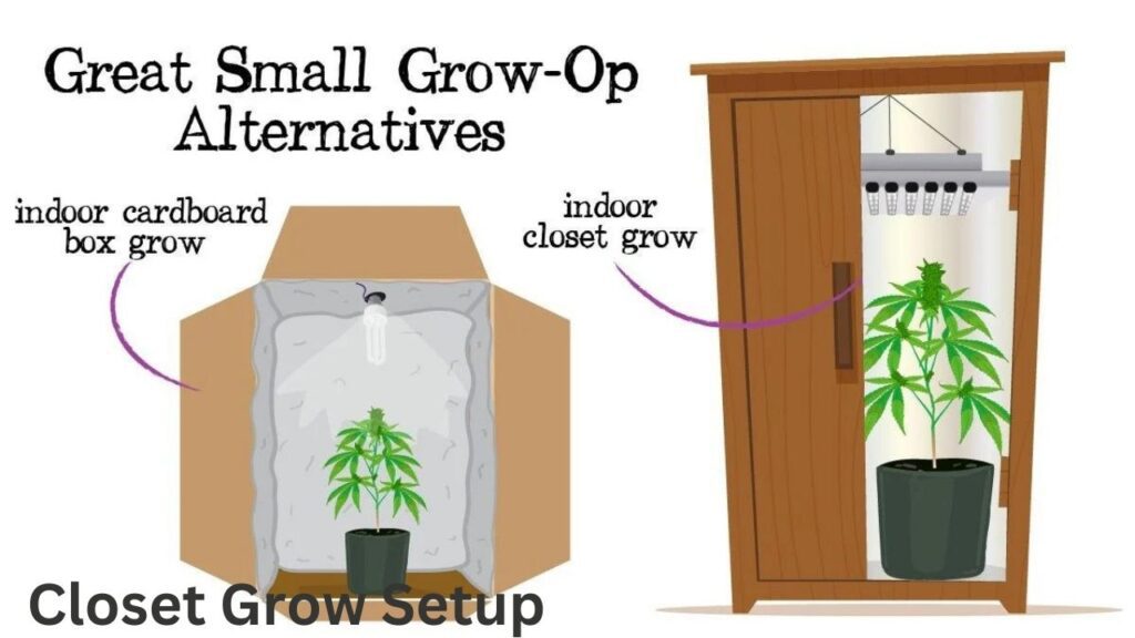 Closet Grow Setup 