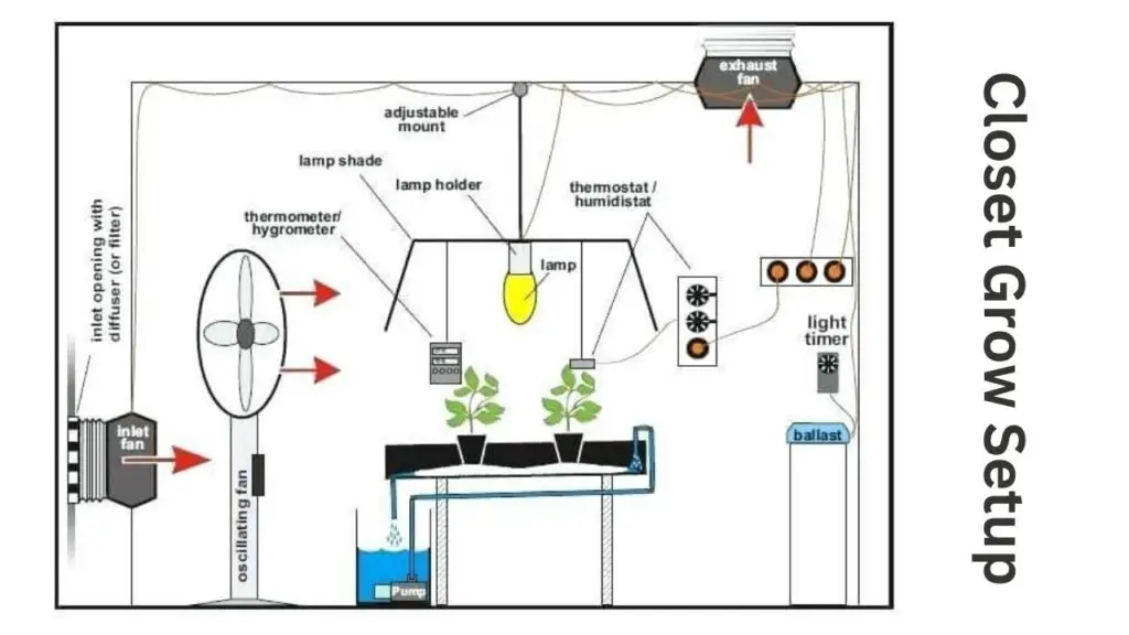 Closet Grow Setup 