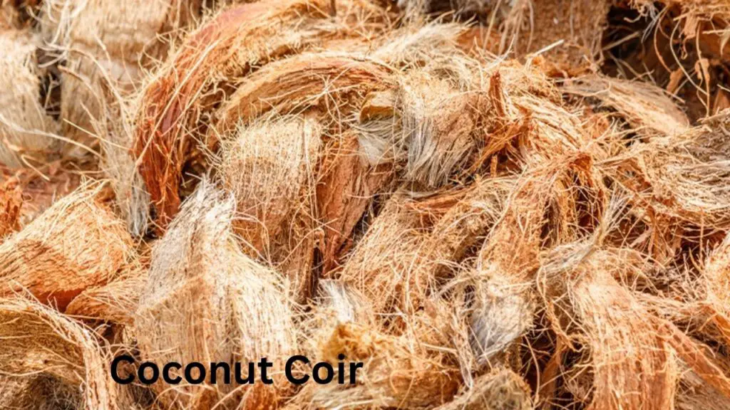 Coconut Coir (1)