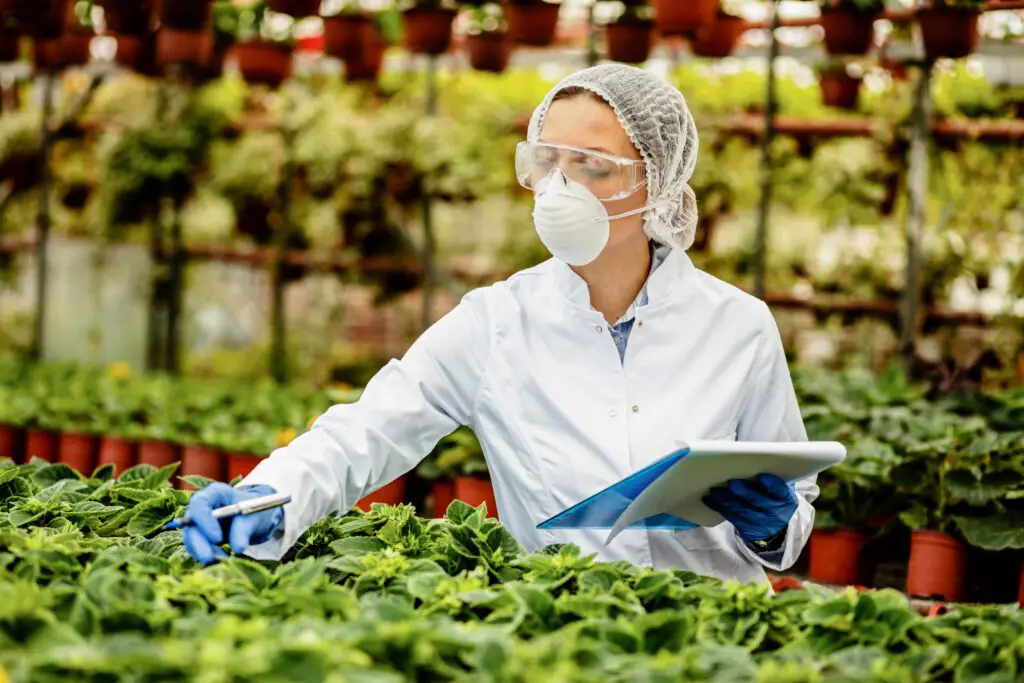 Exploring the Certification Process for Organic Plant Products