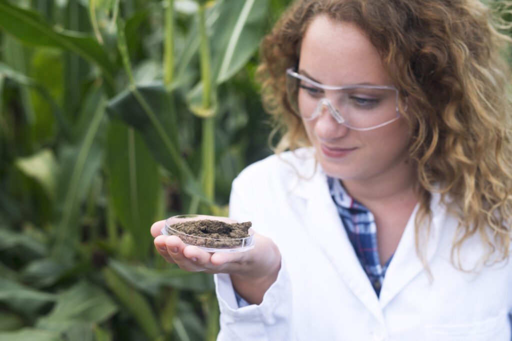 Identifying Soil Deficiencies Recognizing Signs of Nutrient Imbalances and Deficiencies in Plants