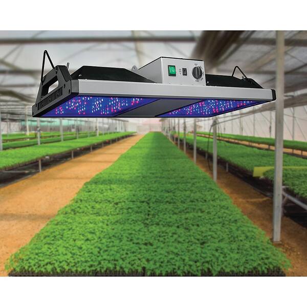 Key Features of the Kind LED K5 Series LED Grow Lights plants