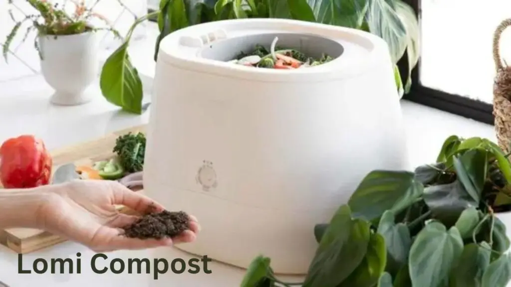 Lomi Compost