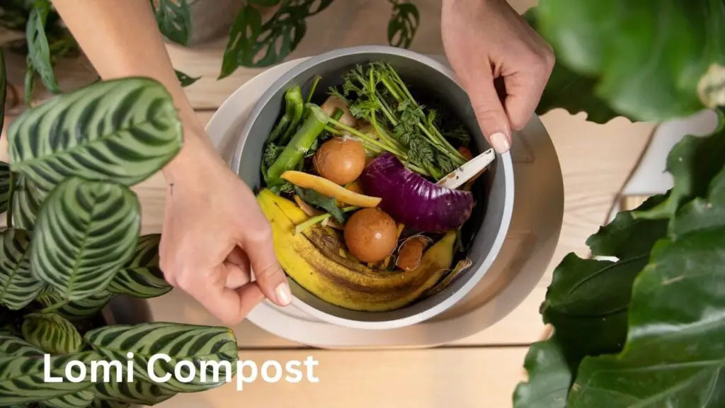 Lomi Compost