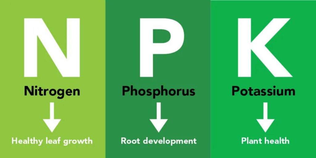 NPK A Comprehensive Guide to Nutrients in Hydroponics (1)