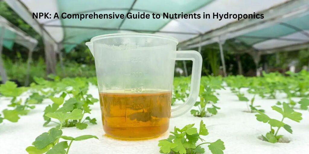 NPK A Comprehensive Guide to Nutrients in Hydroponics 