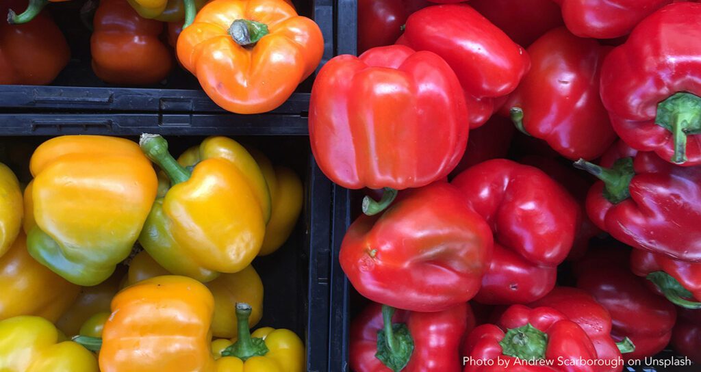 Nutrient Requirements of Hydroponic Peppers