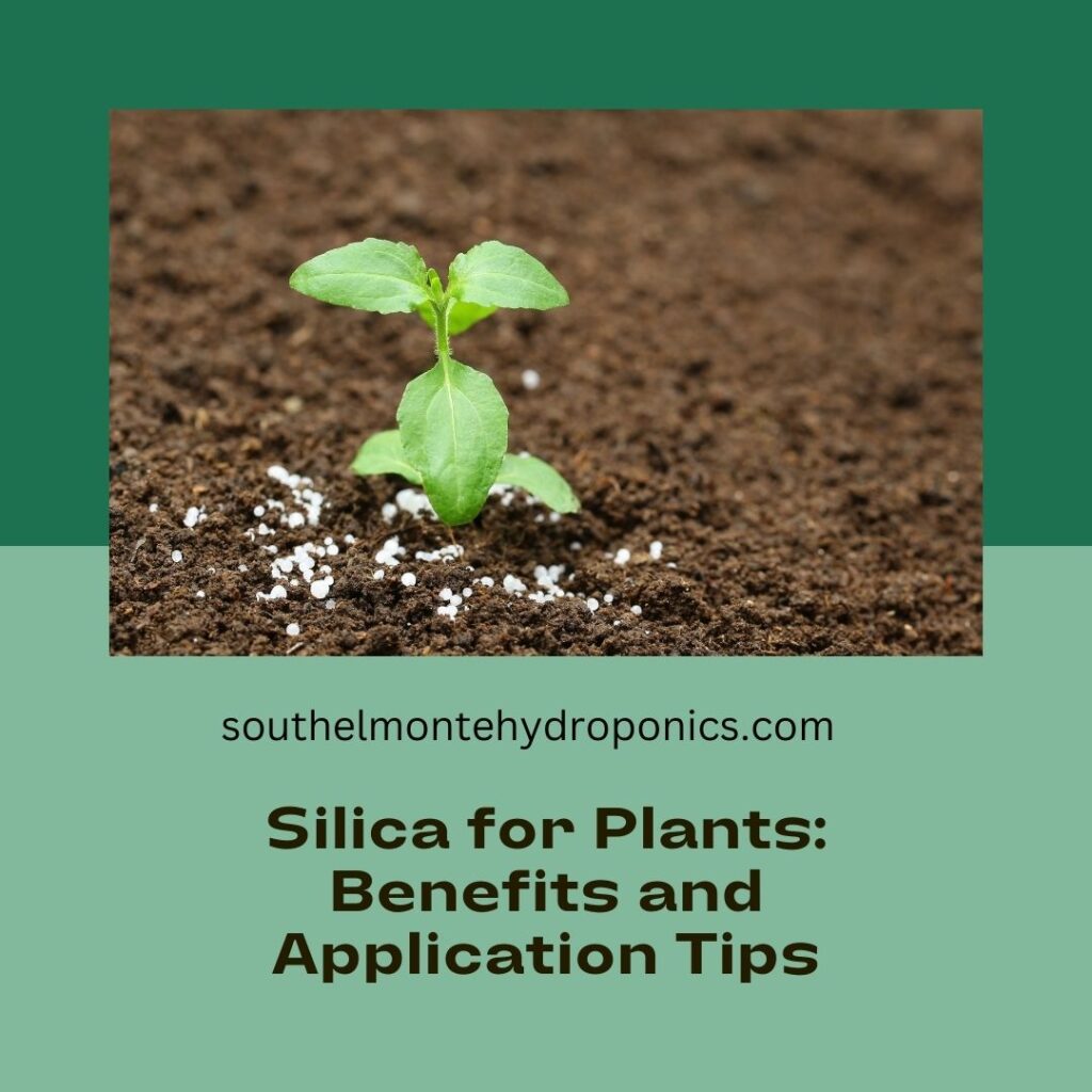 Best Silica for Plants