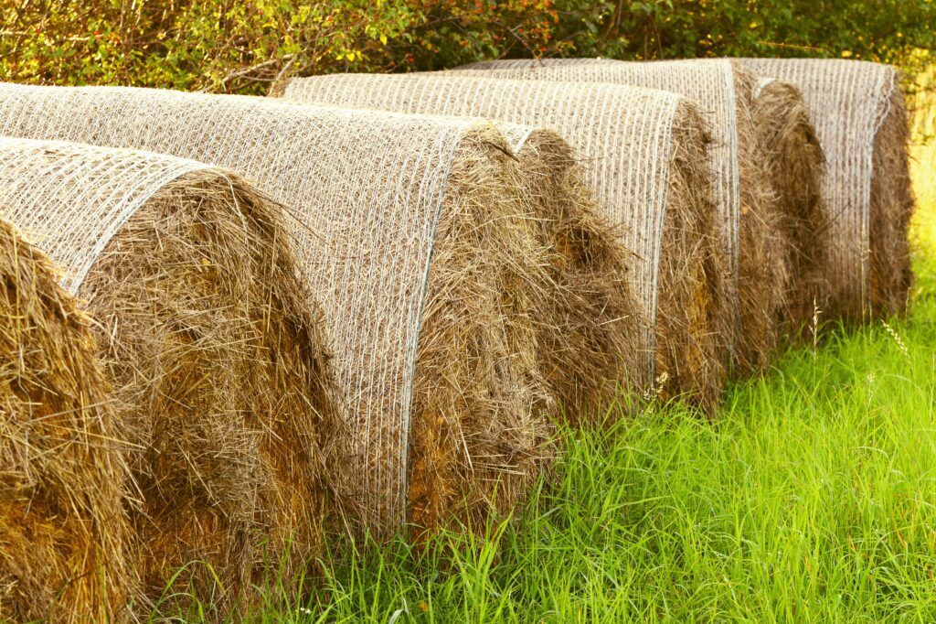 Straw Mulch Insulation and Weed Suppression in Your Garden