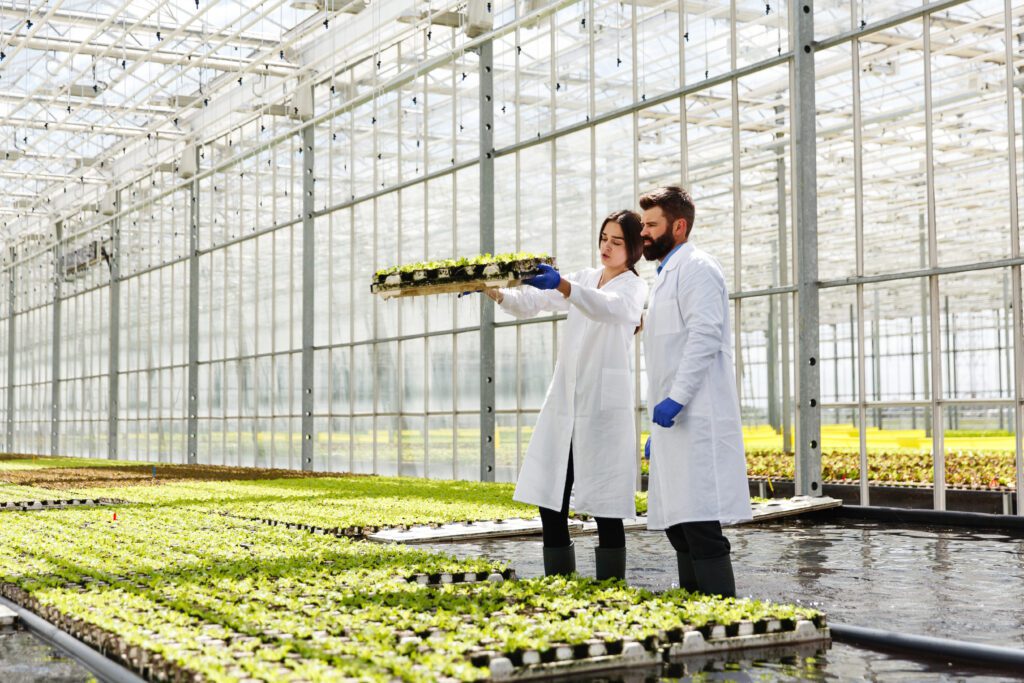 Requirements and constraints for hydroponic and panoponica systems
