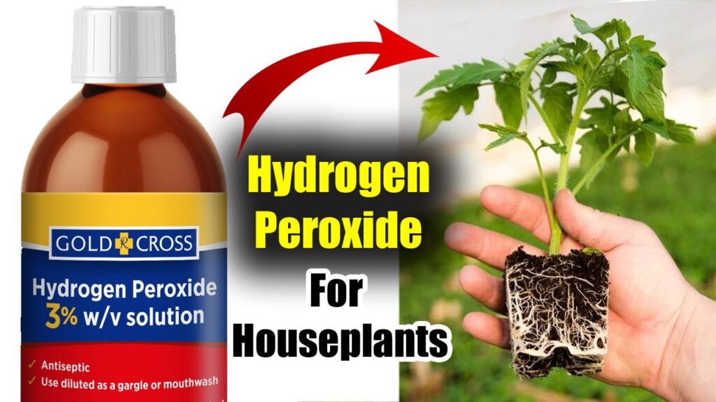Is Hydrogen Peroxide Good for Plants?