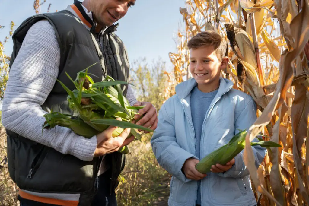 How to Determine the Right Size and Capacity for Your Harvest