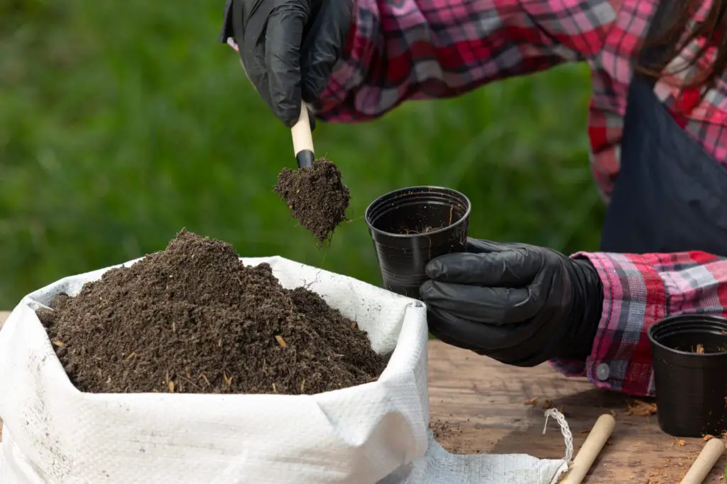 Organic Materials in Your Soil Mix