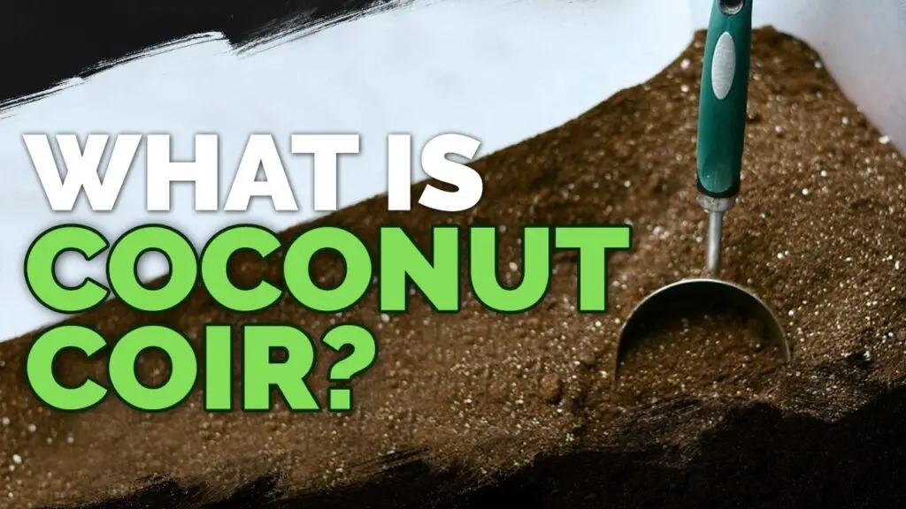 Video Thumbnail: Coconut Coir: What it is and How To Use It In The Garden