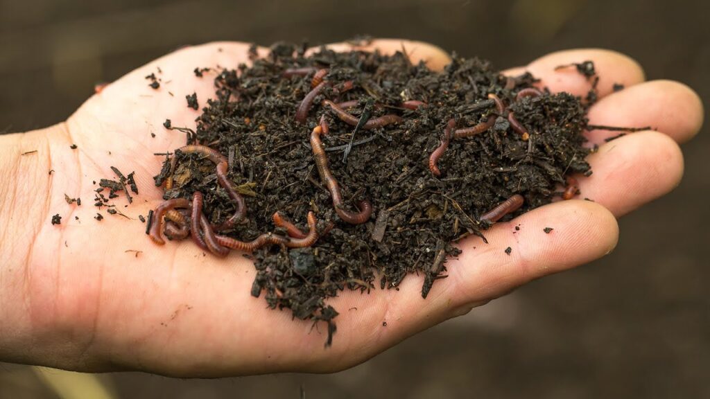 Choosing the Right Compost Ingredients: What to Include and What to Avoid