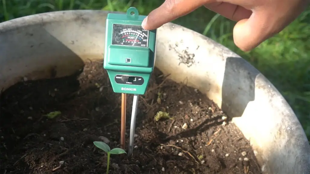 Video Thumbnail: How to Make Soil Acidic and Raise or Lower pH Level of Soil