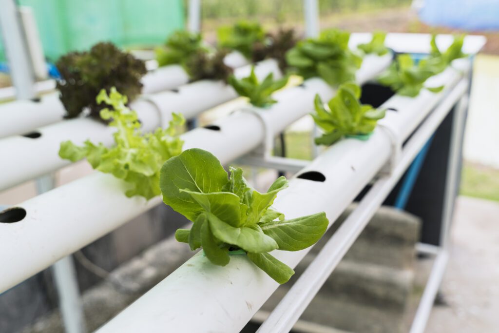 hydroponic systems that require pumps or electricity to circulate water