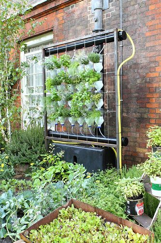 vertical hydroponics | Homemade hydroponics, Hydroponic gardening ...