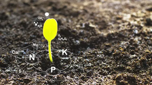 Mixing Plant Nutrients: How to Prepare and Apply the Right Fertilizer Solution for Your Plants