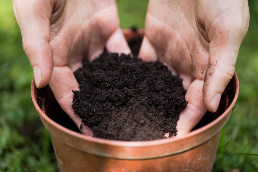 potting soil potting soil in pot dirt in pot shutterstock com 15947