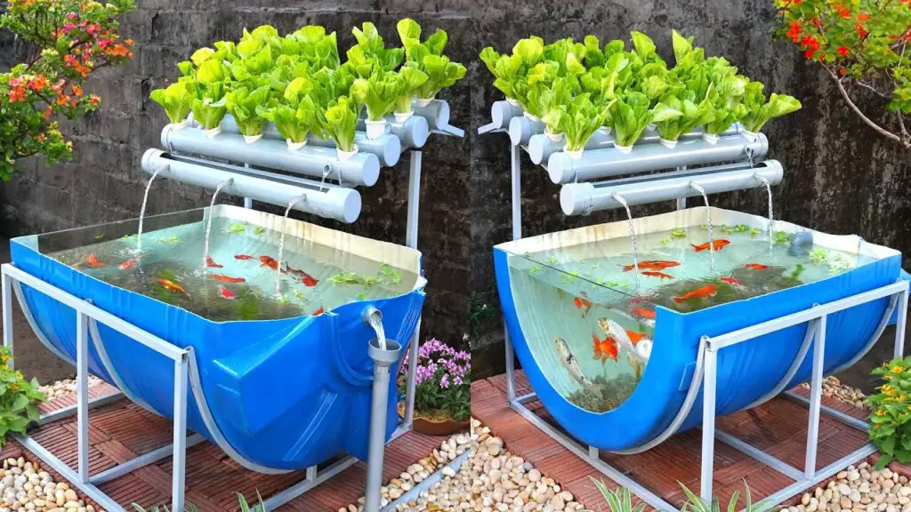 The Pros and Cons of Aquaponics and Hydroponics: The Best Comprehensive Comparison
