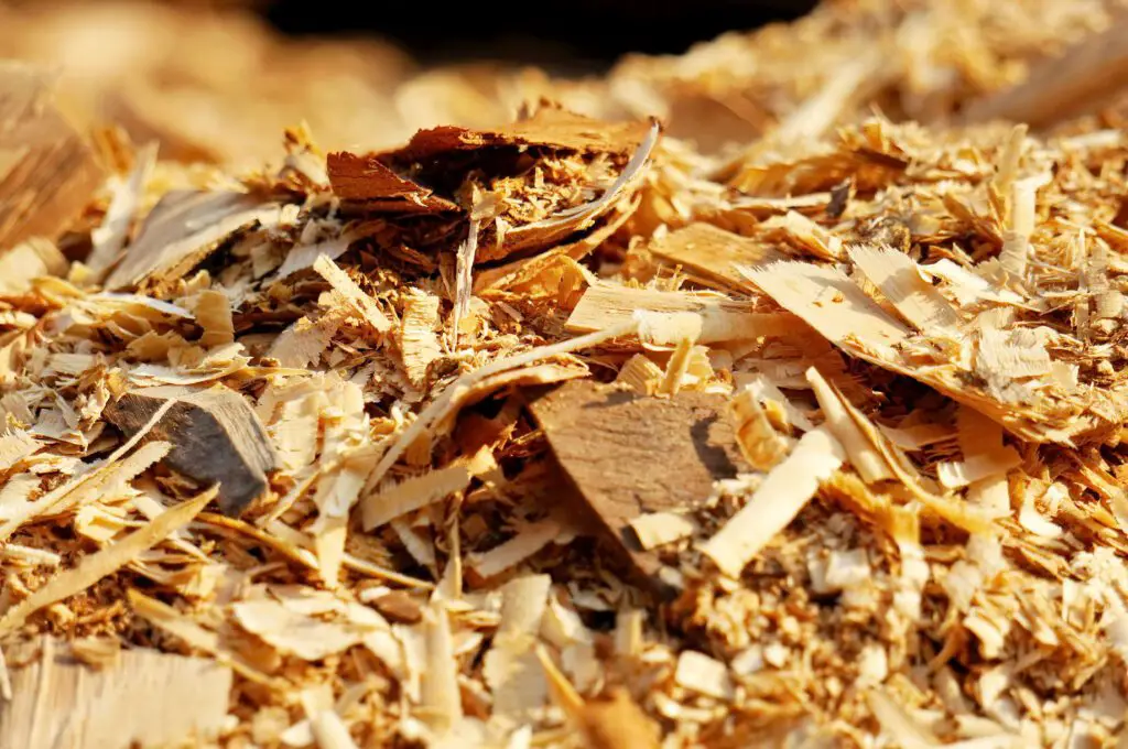 Wood Chips: Aesthetic Appeal and Soil Moisture Retention