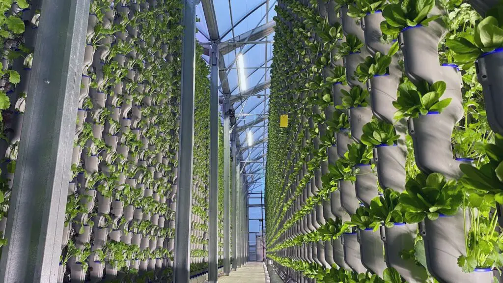 Types of Hydroponics systems