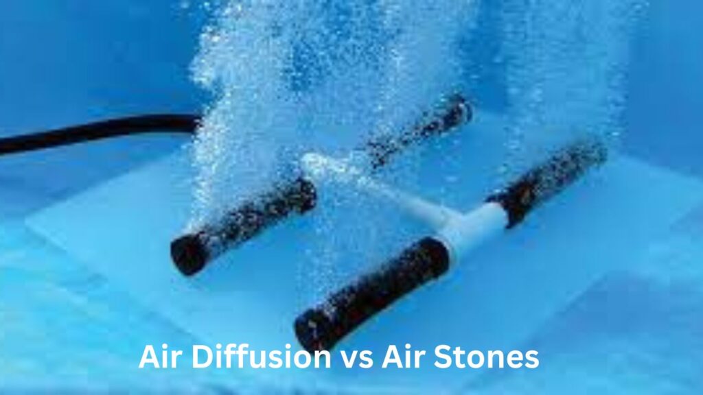 Air Diffusion vs Air Stones