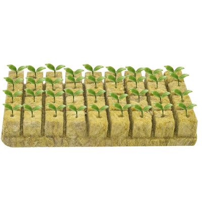 Benefits of Germinating Seeds in Rockwool for Hydroponics