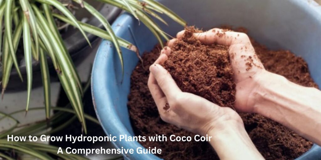 How to Grow Hydroponic Plants with Coco Coir A Comprehensive Guide 