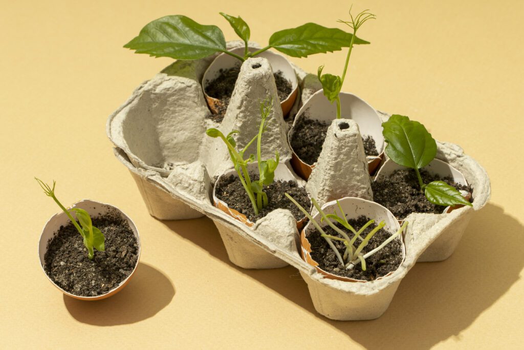 Net Pots A Sustainable and Eco-Friendly Option