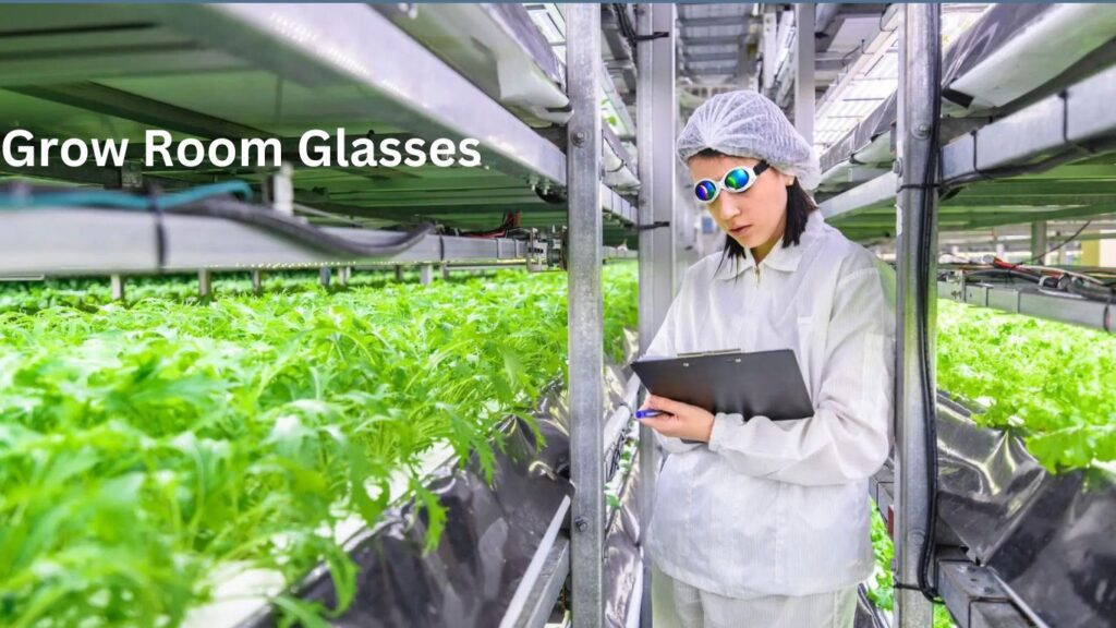 Grow Room Glasses