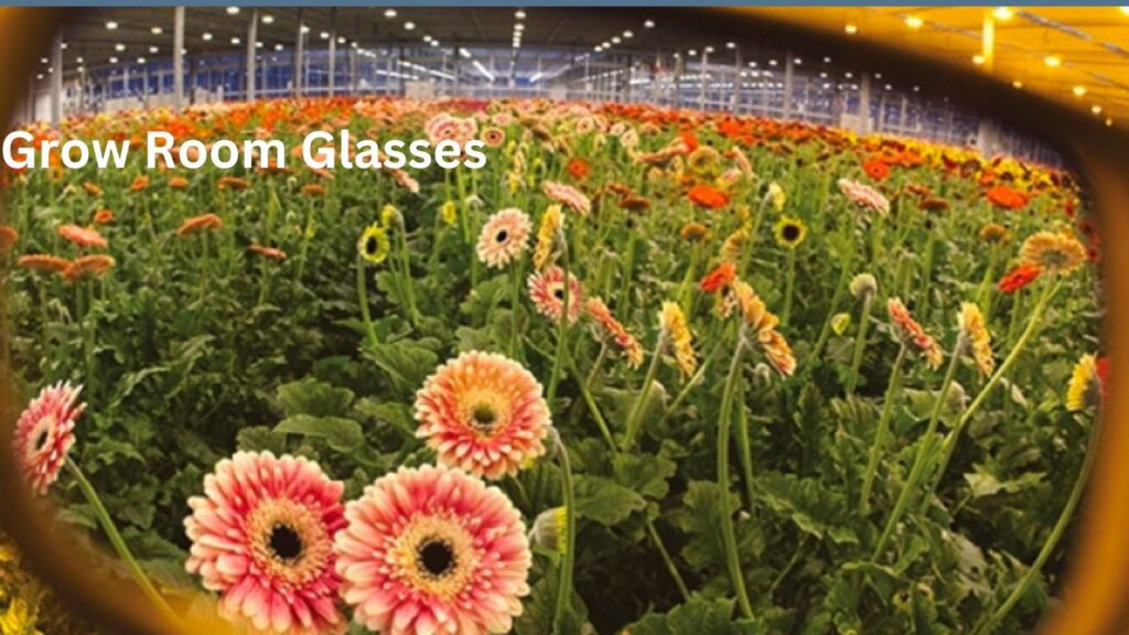 Grow Room Glasses