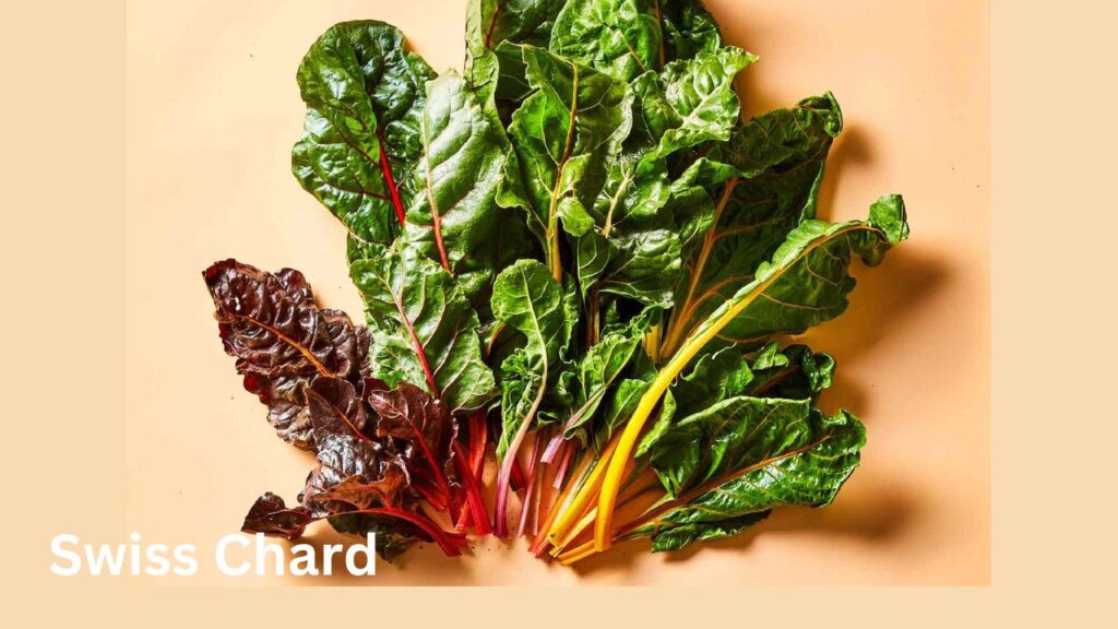Swiss Chard: Growing Leafy Greens and Vibrant Stems