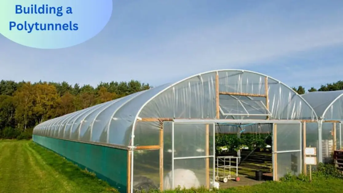 Building a Polytunnels