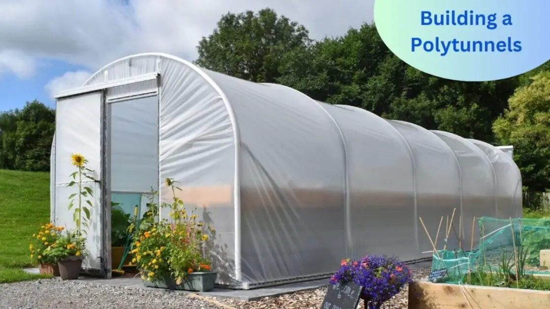 Building a Polytunnels