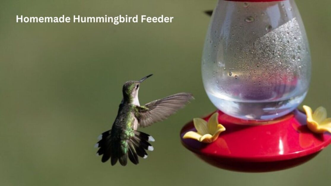 Homemade Hummingbird Feeder