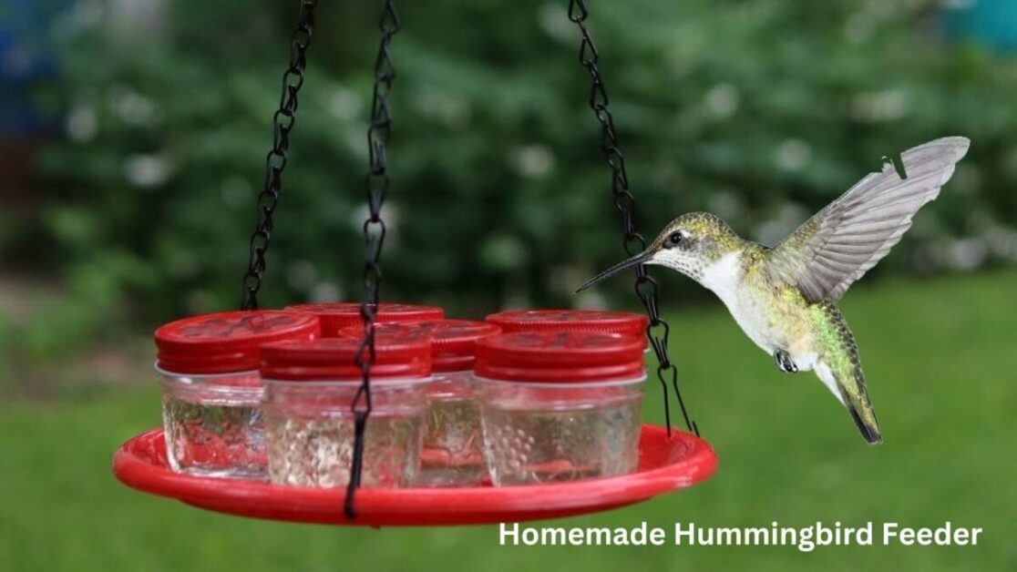Homemade Hummingbird Feeder