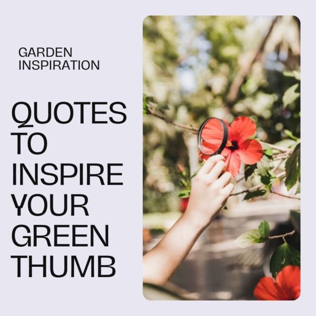 Inspirational of Gardening Quotes