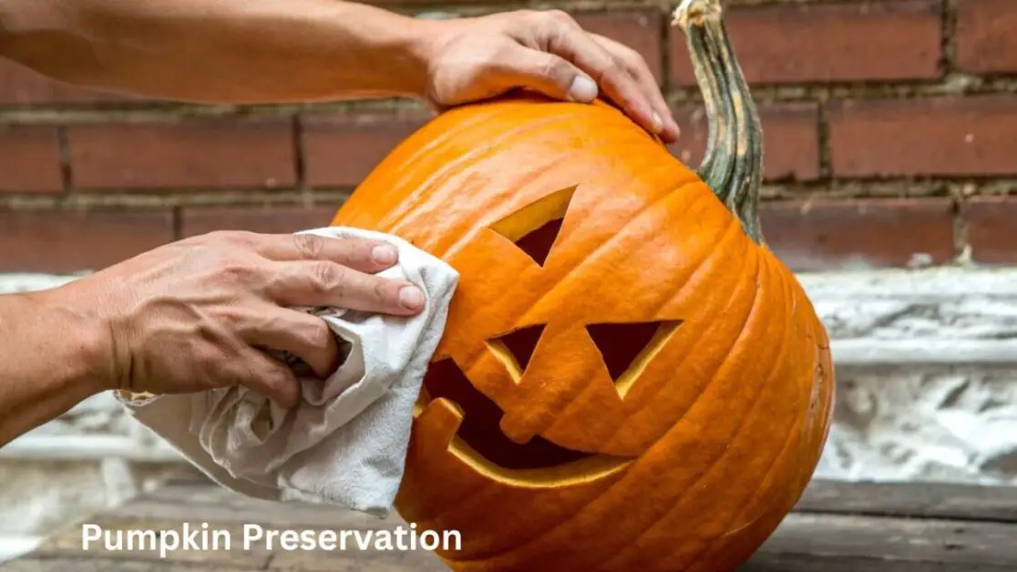 Pumpkin Preservation