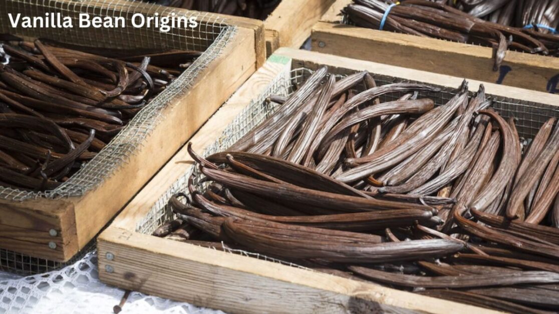 Vanilla Bean Origins