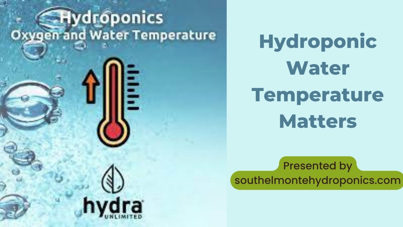 Why Hydroponic Water Temperature Matters The Best way to Maintain the