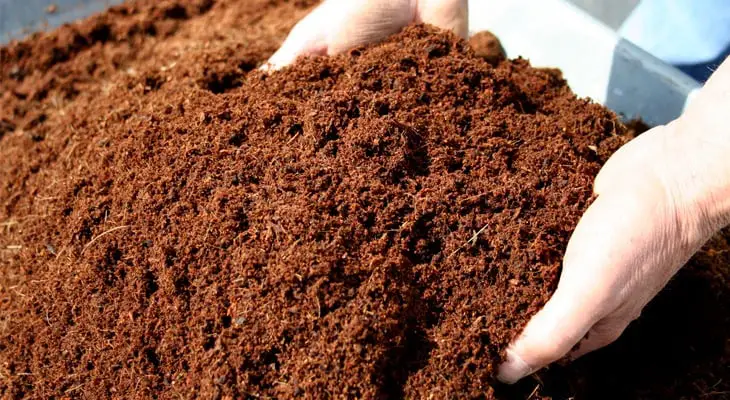 Coconut Coir: What It Is And Which To Get Epic Gardening