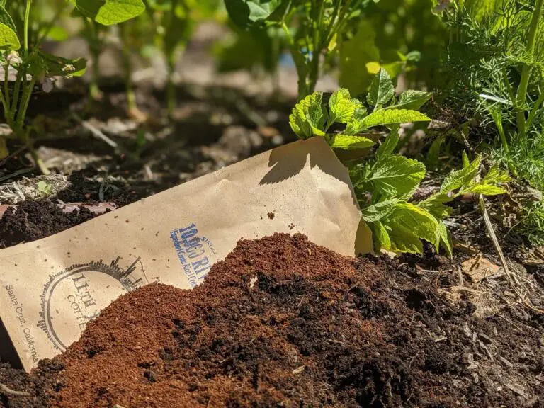 Coffee Grounds Composting: A Complete Guide to This Free and Easy Method