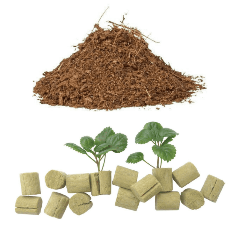 Rockwool vs Coco Coir: How to Choose the Right One for Your Hydroponic Plants