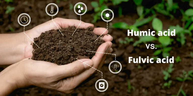 Humic Acid vs Fulvic Acid: What They Are, How They Work, and How to Use Them for Your Plants